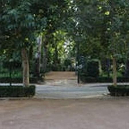 Fabuloso Piso Junto A Paseo De La Bomba Granada Kültér fotó