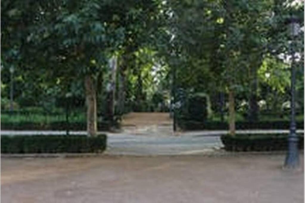 Fabuloso Piso Junto A Paseo De La Bomba Granada Kültér fotó